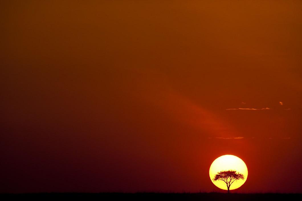 Потрясающие африканские закаты от Пола Гольдштейна. ФОТО