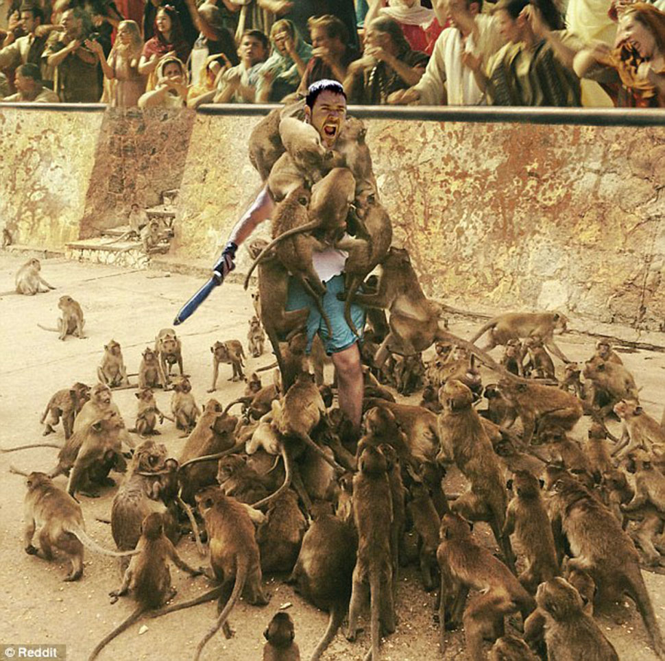 Роковая ошибка: турист решил покормить обезьян и стал героем интернет-мемов. ФОТО