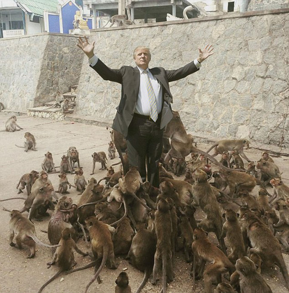 Роковая ошибка: турист решил покормить обезьян и стал героем интернет-мемов. ФОТО