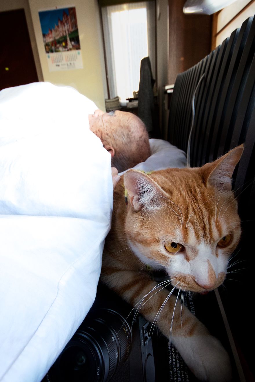 Японка вернула своего дедушку к жизни, подарив ему котенка. ФОТО