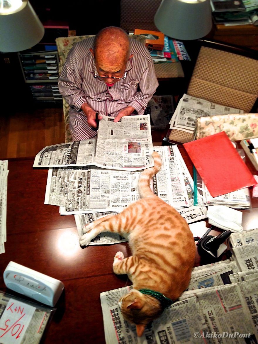 Японка вернула своего дедушку к жизни, подарив ему котенка. ФОТО