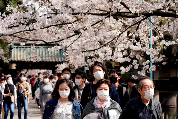 В Японии начался сезон цветения сакуры. ФОТО