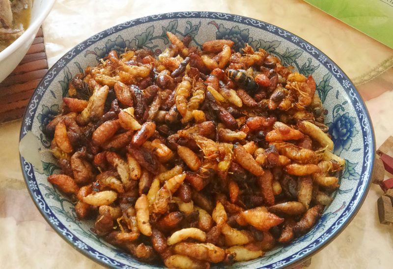 Жареные осы — деликатес японской кухни. ФОТО