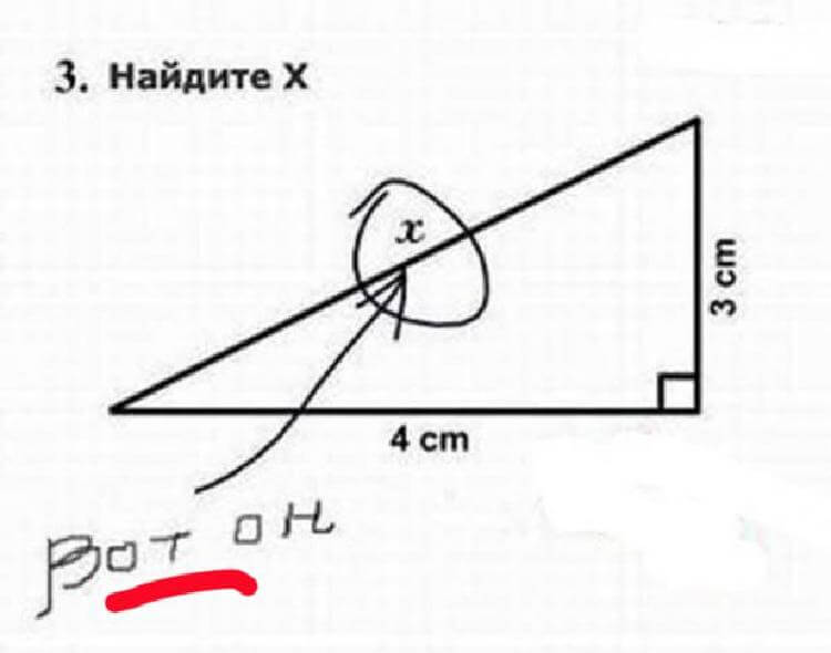 Смешные перлы школьников