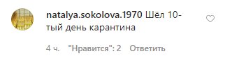 Соцсети смеются над кошкой, нашедшей другое применение туалетной бумаге. ФОТО