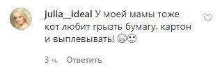 Соцсети смеются над кошкой, нашедшей другое применение туалетной бумаге. ФОТО