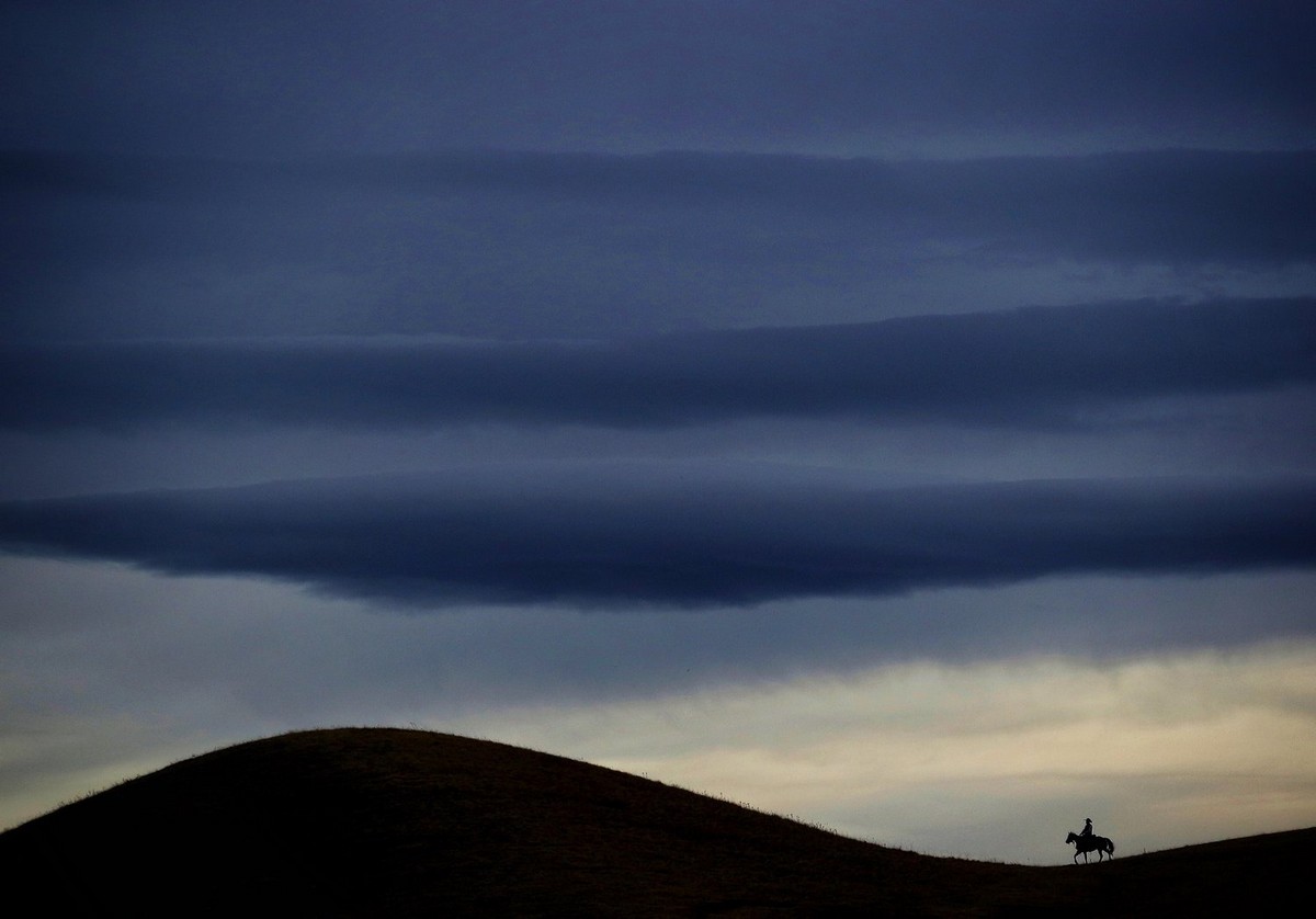 Ковбои и брыкающиеся лошади на снимках Лии Хеннел