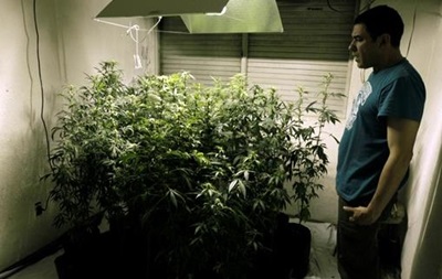 Легализация марихуаны принесла Колорадо $2 млн