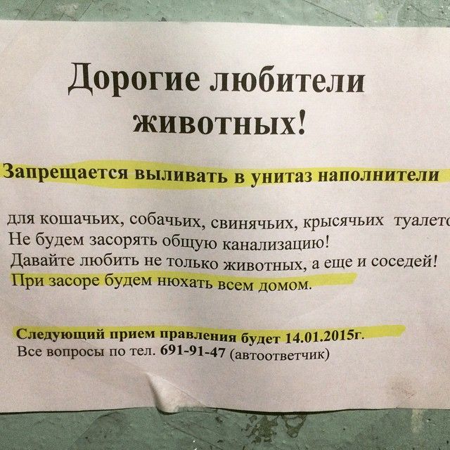 Многоэтажка - это отдельный мир: креативные объявления от жильцов таких домов