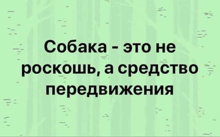 Украинцы в соцсетях высмеяли ужесточение карантина. ФОТО