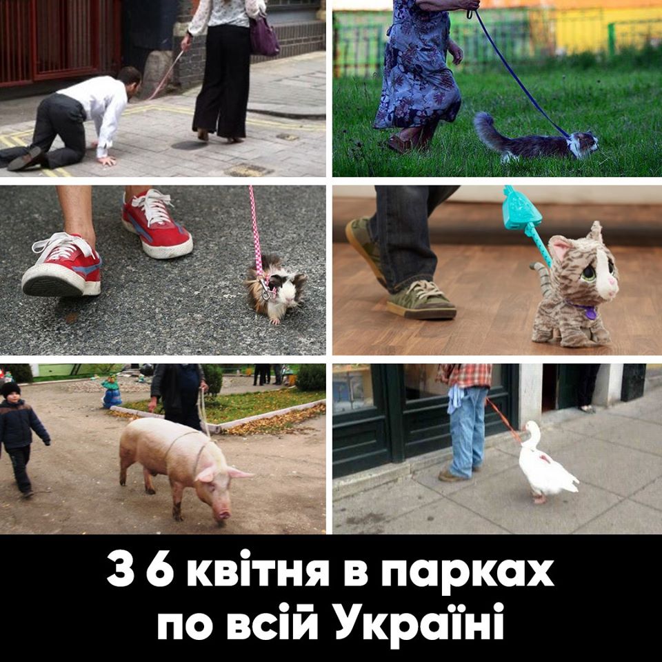 Что делать, если нет собаки: украинцам дали карантинный «совет» фотожабой