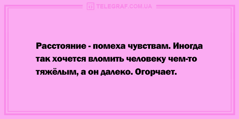 Всем прекрасного дня: смешные анекдоты. ФОТО