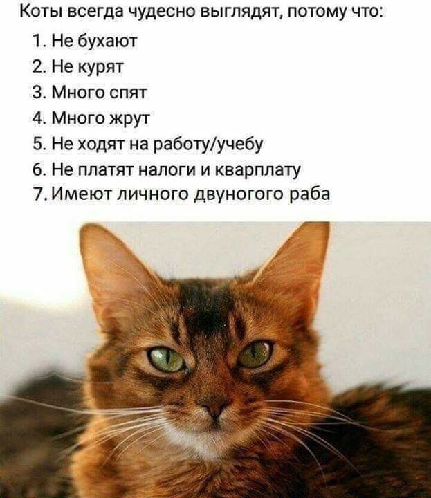 Смешные скрины из социальных сетей