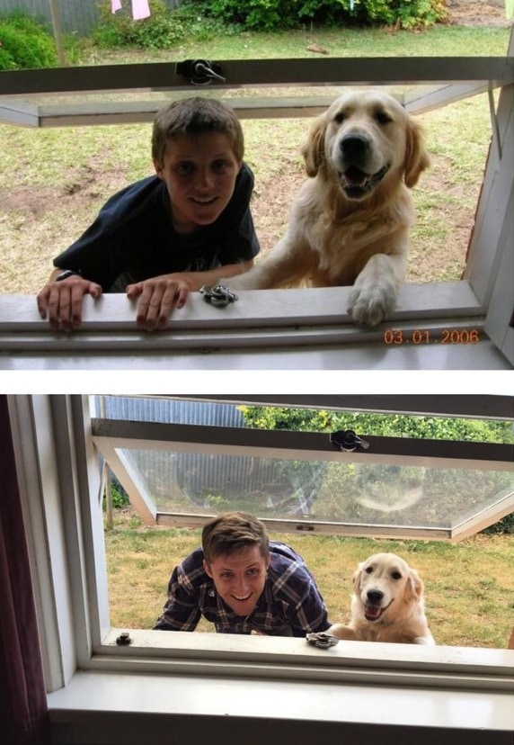 Пользователи сравнивают фото своих собак до и после взросления. ФОТО