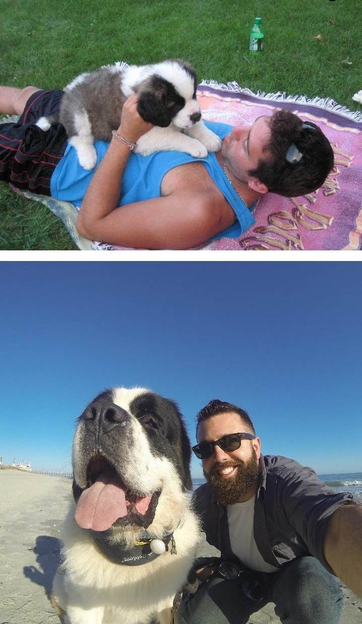 Пользователи сравнивают фото своих собак до и после взросления. ФОТО