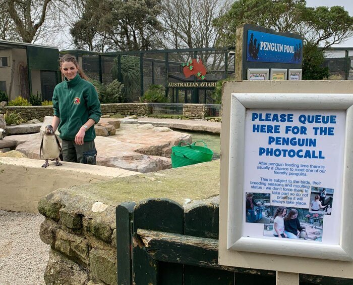  Четыре сотрудницы зоопарка в Англии пережидают карантин с животными. ФОТО