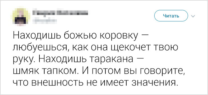 Забавные твиты о жизни без розовых очков