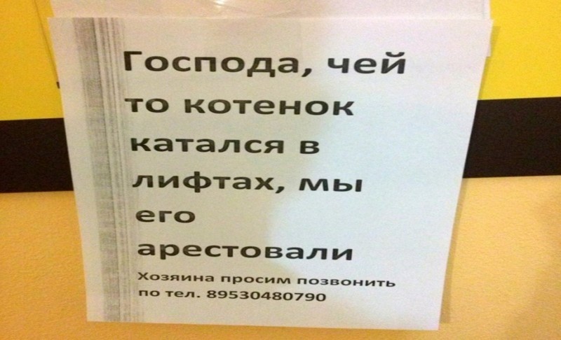 Песня я люблю на лифте кататься. Креативные объявления о работе. Катаюсь в лифте. Веселуха в лифте. Обьявление чей кот.