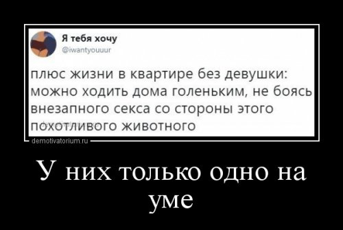 Зачетные демотиваторы, поднимающие ваше настроение на новый уровень! ФОТО