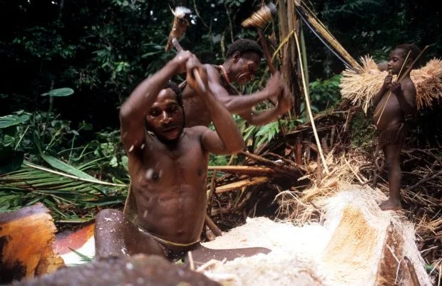 Последние каннибалы: племена, в которых едят человеческую плоть и проводят кровавые ритуалы. ФОТО