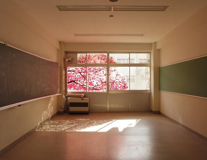 Рисунок на окнах в виде цветущей сакуры. ФОТО