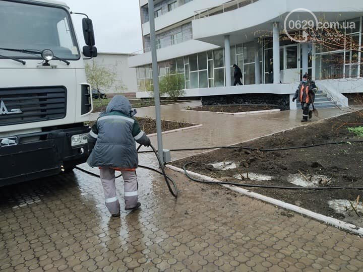 В Мариуполе коммунальщики поливали розы под дождем. ФОТО