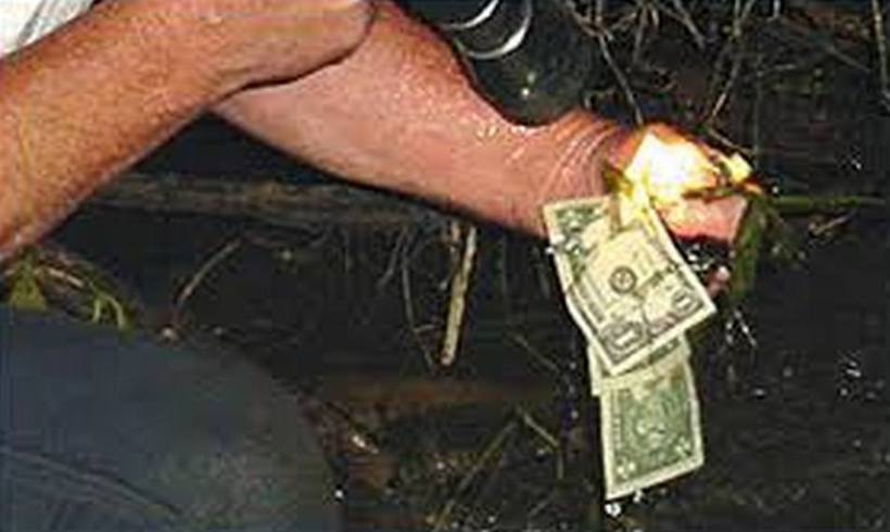 Бобры нашли сумку с украденными в казино долларами и построили из них плотину