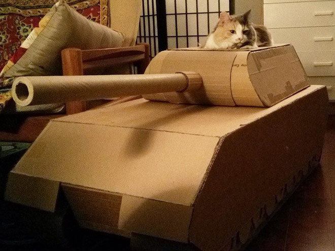 Котики в картонных танках