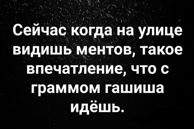 Шутки и мемы про полицейских, патрулирующих улицы в период режима самоизоляции. ФОТО