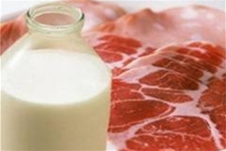 Мясо и молоко ведут человечество к катастрофе