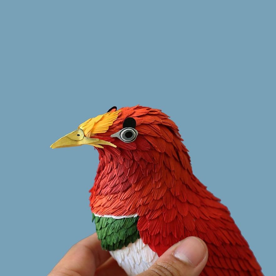 Реалистичные птицы из бумаги от колумбийской художницы