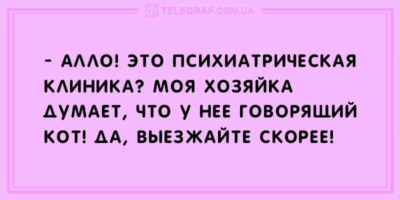 Держись на волне позитива: веселые анекдоты. ФОТО