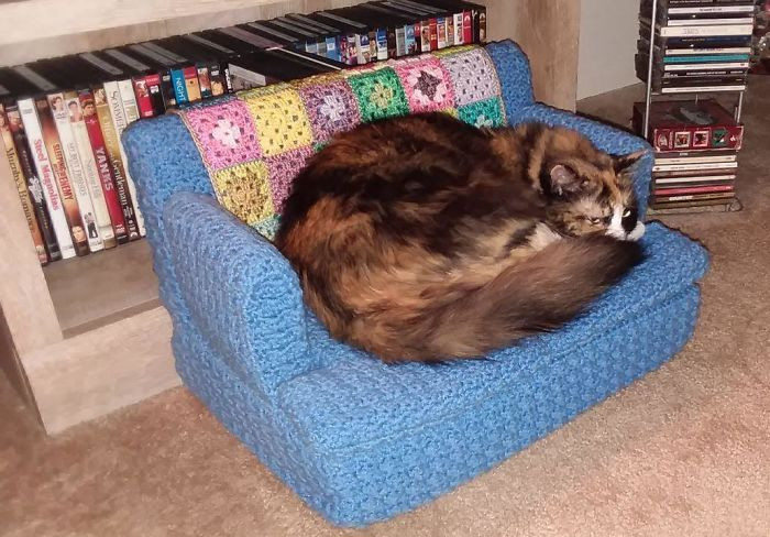 Хозяева вяжут для своих котеек маленькие диванчики