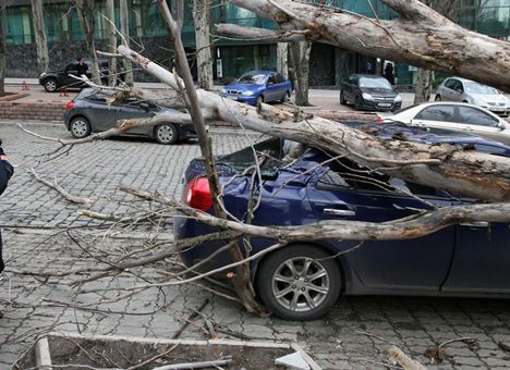 Синоптики предупреждают, что так же холодно будет и завтра