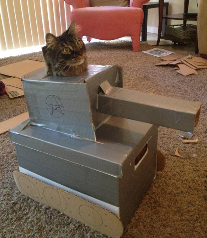 25 забавных фото котов в картонных танках, которые захватили соцсети. ФОТО