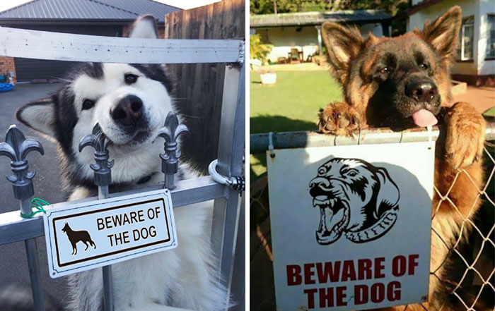 beware-Of-The-Dog-Signs-coverimage