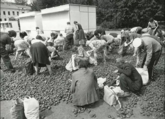 Редкие исторические фотографии из прошлого