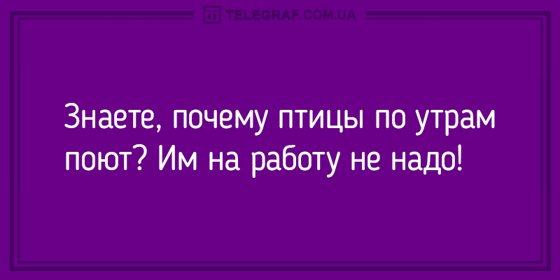 Утром тоже нужно смеяться: забавные анекдоты