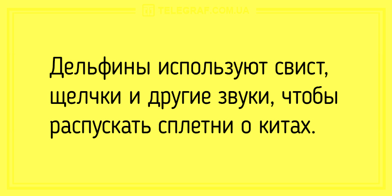 Утром тоже нужно смеяться: забавные анекдоты