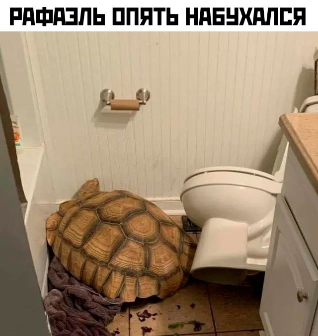 Улыбайтесь, господа, улыбайтесь! 