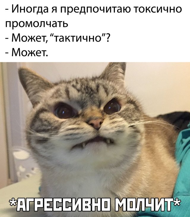 Улыбайтесь, господа, улыбайтесь! 