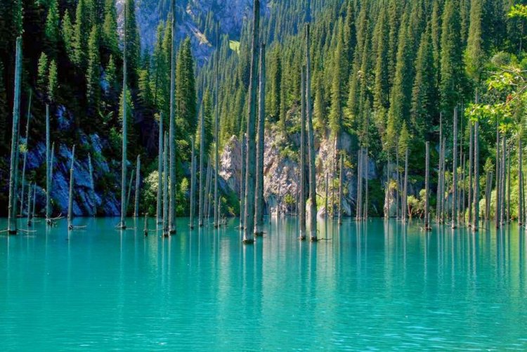 Озеро Каинды - достопримечательность Казахстана