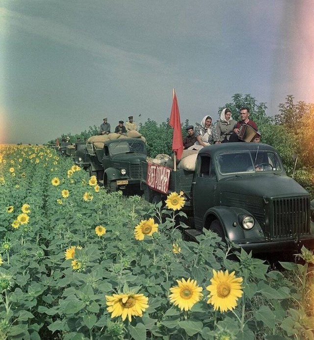 Теплые и душевные фотографии из советского прошлого