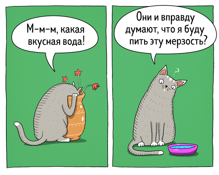 Забавные комиксы о противоречивости котов