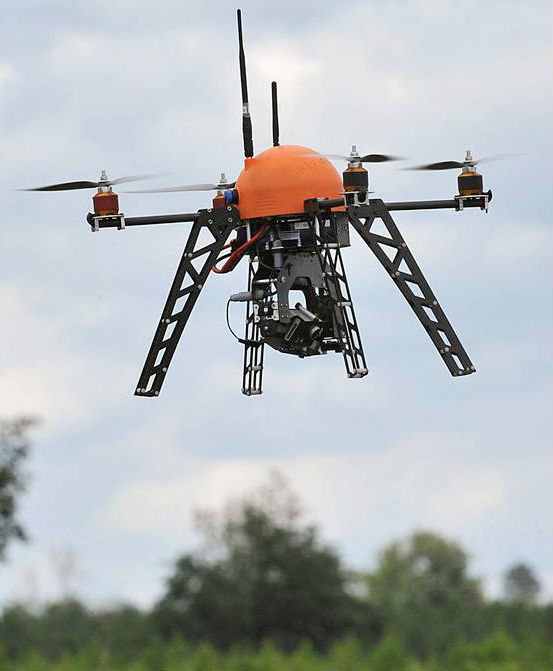 Британцы начали воровать коноплю с нелегальных плантаций с помощью дронов 