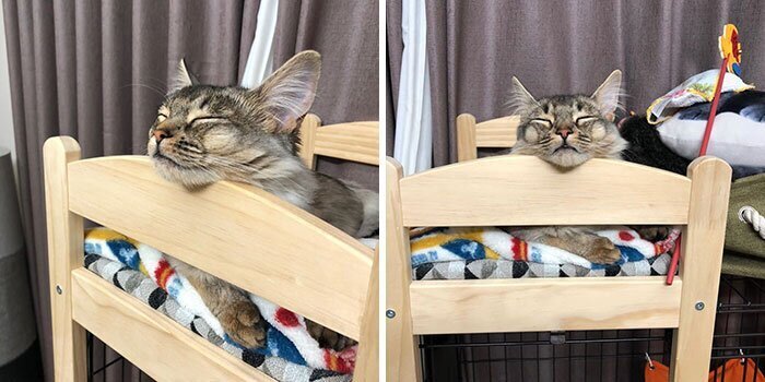 Деревянные кукольные кровати идеально подходят для котиков