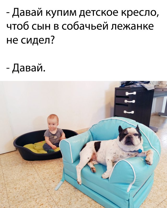 Улыбайтесь, господа, улыбайтесь! 