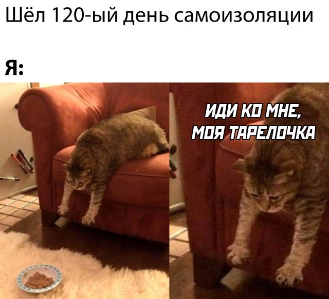 Улыбайтесь, господа, улыбайтесь! 