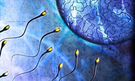 Ученые создали бытовой тест качества спермы для мужчин 