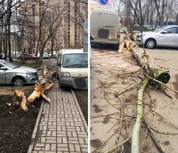 Как выглядит невероятное везение на снимках